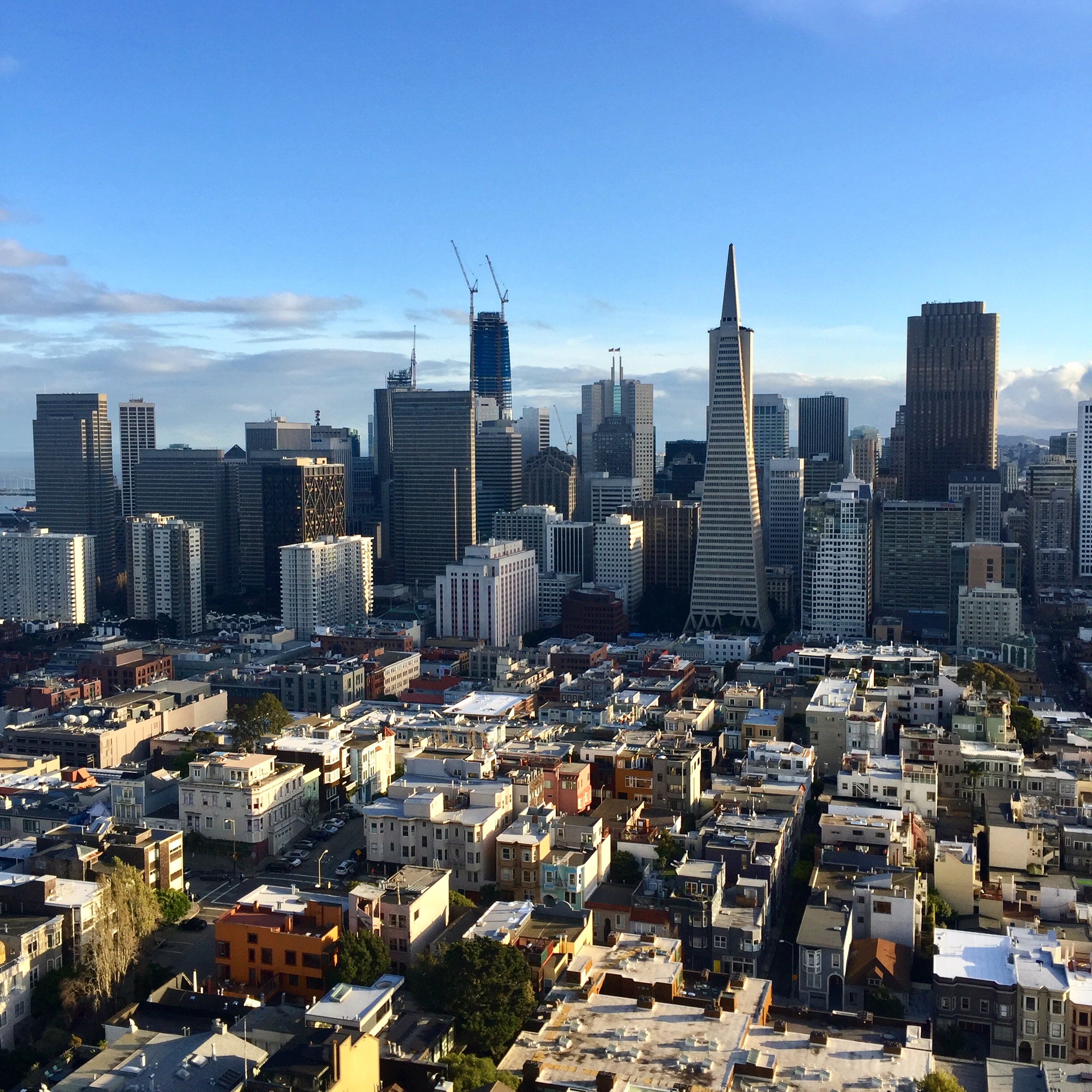 top-san-francisco-attractions-coit-tower-view